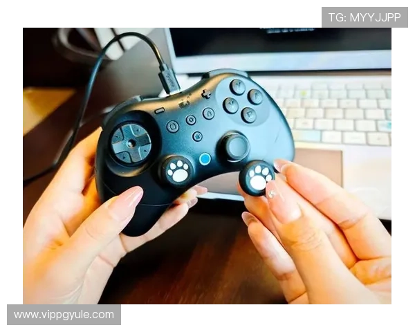 官方k8凯发官网入口安全登录指南，保障玩家账号安全与顺畅体验游戏全过程